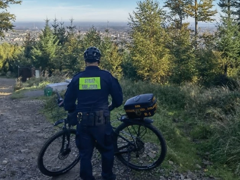 foto:  Kontrole leśnych szlaków turystycznych